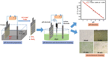 Graphical abstract: An electrochemically cleanable pH electrode based on an electrodeposited iridium oxide–ruthenium oxide–titanium composite