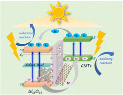 Graphical abstract: Efficient charge separation and transfer in a one-dimensional carbon nanotube/tungsten oxide p–n heterojunction composite for solar energy conversion