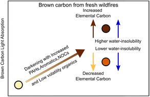 Graphical abstract: Brown carbon absorptivity in fresh wildfire smoke: associations with volatility and chemical compound groups