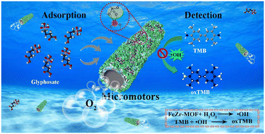 Graphical abstract: Biomass-derived 3D hierarchical Zr-based tubular magnetomotors with peroxidase-like properties for selective colorimetric detection and specific decontamination of glyphosate at neutral pH