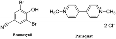 Graphical abstract: Low-cost iron nanoparticles for remediation of agricultural pollution: adsorption of herbicides bromoxynil and paraquat