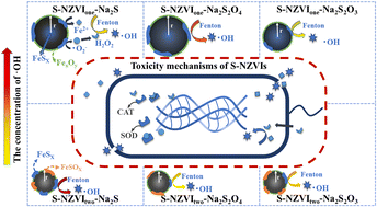 Graphical abstract: Different sulfidized procedures and sulfur precursors alter the bacterial toxicity of sulfidized nanoscale zero-valent iron by affecting the physicochemical properties