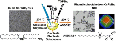 Graphical abstract: Surfactant-tail control of CsPbBr3 nanocrystal morphology