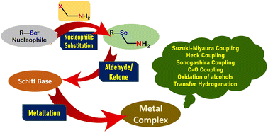 Graphical abstract: Nucleophilic substitution reaction as an important tool in the synthetic protocol for selenium donor containing Schiff bases: applications of metal complexes in homogeneous catalysis