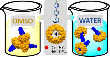 Graphical abstract: Solvent-controlled formation of alkali and alkali-earth-secured cucurbituril/guest trimers