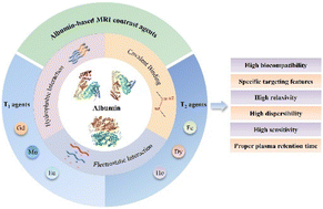 Graphical abstract: Magnetic resonance imaging contrast agents based on albumin nanoparticles