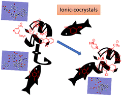 Graphical abstract: Facts and reality of multi-component organic ionic-cocrystals of di-topic acid–base conjugates