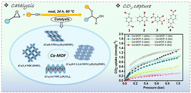 Graphical abstract: Construction of a series of pH stable Ca-based MOFs, their CO2 adsorption and catalytic activity