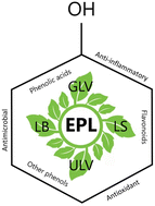 Graphical abstract: Polyphenols in edible plant leaves: an overview of their occurrence and health properties