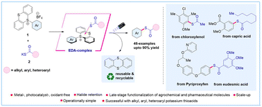 Graphical abstract: General electron–donor–acceptor complex mediated thioesterification reaction via site-selective C–H functionalization using aryl sulfonium Salts