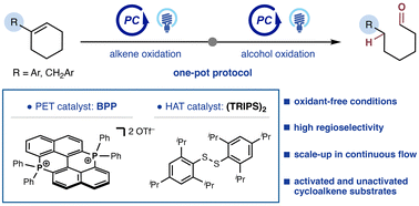 Graphical abstract: Bisphosphonium-catalyzed ring-opening of cycloalkenes under visible-light irradiation