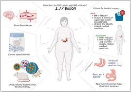 Graphical abstract: Nano-steps in altered opioid pharmacokinetics: a perspective on potential drug delivery post-bariatric surgery applications
