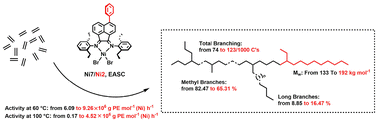 Graphical abstract: Axial-phenyl-constrained bis(imino)acenaphthene-nickel precatalysts enhance ethylene polymerization