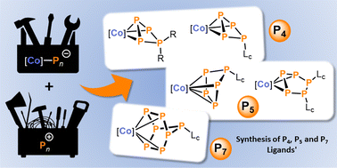 Graphical abstract: Phosphorus ring expansion at cobalt: targeted synthesis of P4, P5, and P7 ligands