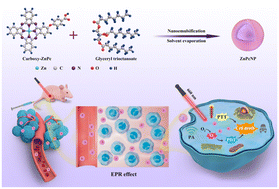 Graphical abstract: Novel zinc(ii) phthalocyanine nanoparticles as a diagnosis–treatment nanoprobe for photoacoustic-imaging-guided synergistic photothermal/photodynamic-enhanced cancer therapy
