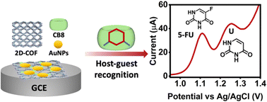 Graphical abstract: Two-dimensional covalent organic framework-based hybrid nanosheets for electrochemical detection of 5-fluorouracil and uracil in biofluids