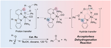 Graphical abstract: Mechanistic insight into the dehydrogenation reaction catalyzed by an MLC catalyst with dual ancillary ligand sites