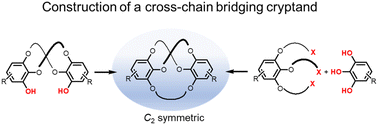 Graphical abstract: Synthesis of a cross-chain bridging cryptand