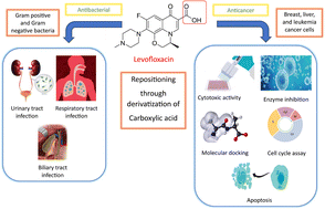 Graphical abstract: Levofloxacin reposition-based design: synthesis, biological evaluation of new levofloxacin derivatives targeting topoisomerase II beta polymerase as promising anticancer agents, molecular docking, and physicochemical characterization