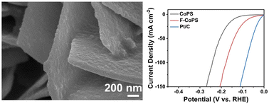 Graphical abstract: Synergistic effects of fluorine doping on CoPS electrocatalysts for highly efficient hydrogen evolution reaction