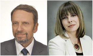 Graphical abstract: Introduction to the RSC Advances themed collection on nano and microscale modifications of biomaterials