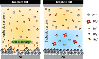 Graphical abstract: A hybrid-aqueous biphasic electrolyte for suppressed shuttle effects and self-discharge of zinc bromide batteries