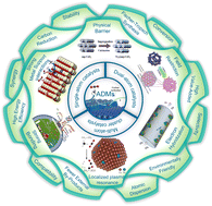 Graphical abstract: Atomically dispersed metal catalysts for methane dry reforming