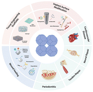 Graphical abstract: Application of metal–organic framework materials in regenerative medicine