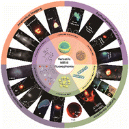 Graphical abstract: Recent advances of versatile fluorophores for multifunctional biomedical imaging in the NIR-II region