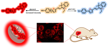 Graphical abstract: Mitochondria-targeting fluorescent probe with a pH/viscosity response for assisted detection of non-alcoholic fatty liver in mice