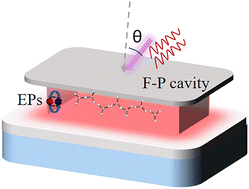 Graphical abstract: Polariton emission properties of an organic dye-doped polymer microcavity