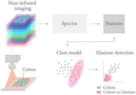 Graphical abstract: Spectral imaging and a one-class classifier for detecting elastane in cotton fabrics