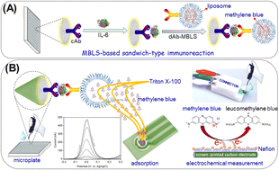 Graphical abstract: Methylene-blue-encapsulated liposome for immobilization-free electrochemical immunoassay of interleukin-6 from nervous headache