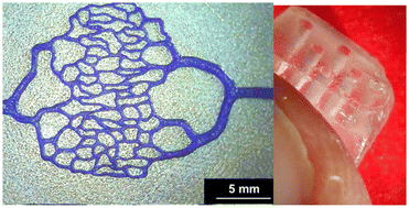 Graphical abstract: PISA printing perfusable microcapillaries