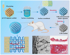 Graphical abstract: 3D printed bioceramic scaffolds with fully interconnected channel networks for enhanced vascularized bone regeneration