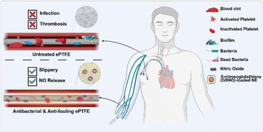 Graphical abstract: Dual-action prevention of adherent and non-adherent biofouling via slippery, nitric oxide-releasing nanoemulsion-infused porous surfaces