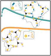 Graphical abstract: An ionic ultramicroporous polymer with engineered nanopores enables enhanced acetylene/carbon dioxide separation