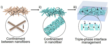 Graphical abstract: Engineering sinter-resistant pyrochlore nanofibers with triple-phase boundaries for acidic oxygen evolution