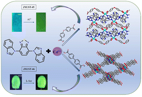 Graphical abstract: Aromatic dicarboxylates induced structural diversity of CdII metal–organic frameworks from a 2D layer to a 3D pillar-layer network for fluorescence sensing of cations, anions and l-serine