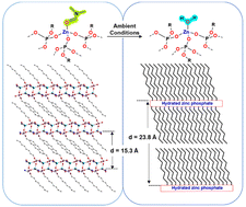 Graphical abstract: 1D polymeric and 2D layered zinc monoalkyl phosphates bearing long alkyl chains: synthesis, structural transformations and thermal behaviour
