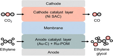 Graphical abstract: Electrolysis of ethylene to ethylene glycol paired with acidic CO2-to-CO conversion