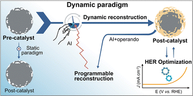 Graphical abstract: Dynamic reconstruction defines true active states in the hydrogen evolution reaction