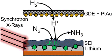 Graphical abstract: Unveiling the mechanism of lithium-mediated nitrogen reduction via operando X-ray scattering in a flow cell with hydrogen oxidation