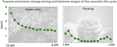 Graphical abstract: Following the smell: terpene emission profiles through the cannabis life-cycle