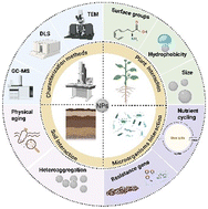 Graphical abstract: Nanoplastics in agriculture: leveraging twenty years of engineered nanomaterials research