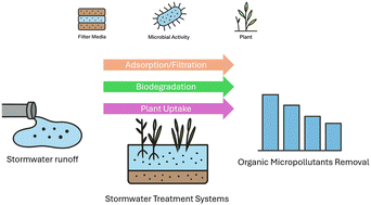 Graphical abstract: Organic micropollutant removal in stormwater: a review of treatment performance