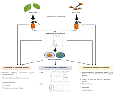 Graphical abstract: Assessing the antibacterial, antifungal, and antiaflatoxigenic activity of a developed nanoformulation based on a combination of Syzygium aromaticum leaf and bud essential oils