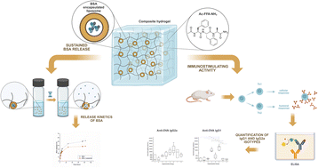 Graphical abstract: Self-assembled Ac-FFA-NH2 based hydrogels with strong immunostimulating activity for vaccine delivery