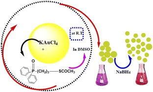 Graphical abstract: Gold nanoparticles functionalized by phosphine oxide derivatives: characterization and influence of ligand structure on their stability