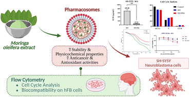 Graphical abstract: Enhanced cytotoxic activity of Moringa oleifera-loaded pharmacosomes against neuroblastoma